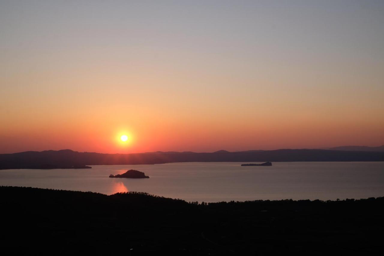 Agriturismo Vigna Sul Lago Montefiascone Kültér fotó