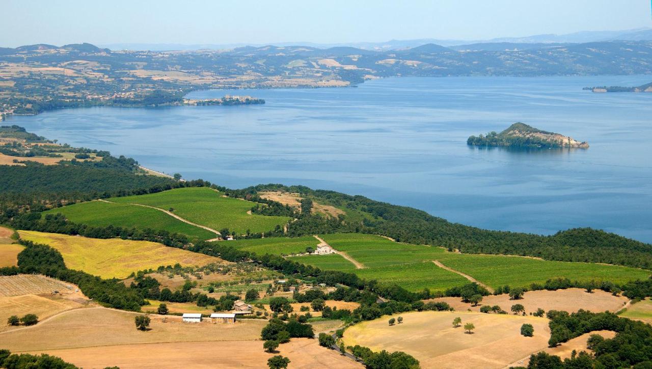 Agriturismo Vigna Sul Lago Montefiascone Kültér fotó